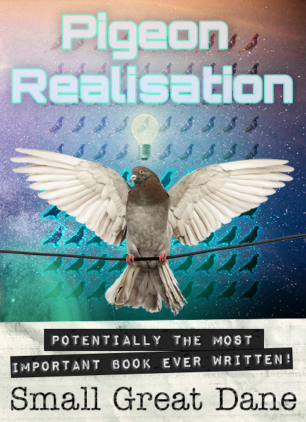 Pigeon Realisation Draft Cover